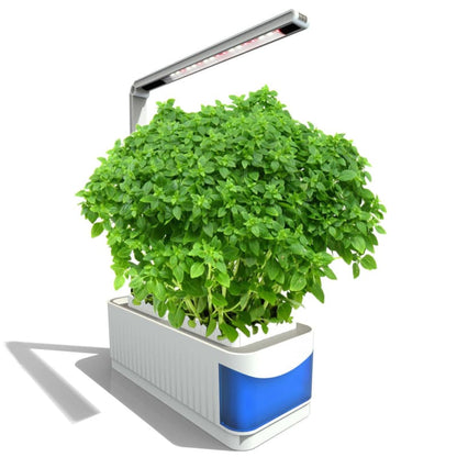 Mini Jardin Potager D’intérieur Hydroponique avec Lampe Led