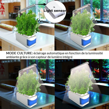 Mini Jardin Potager D’intérieur Hydroponique avec Lampe Led